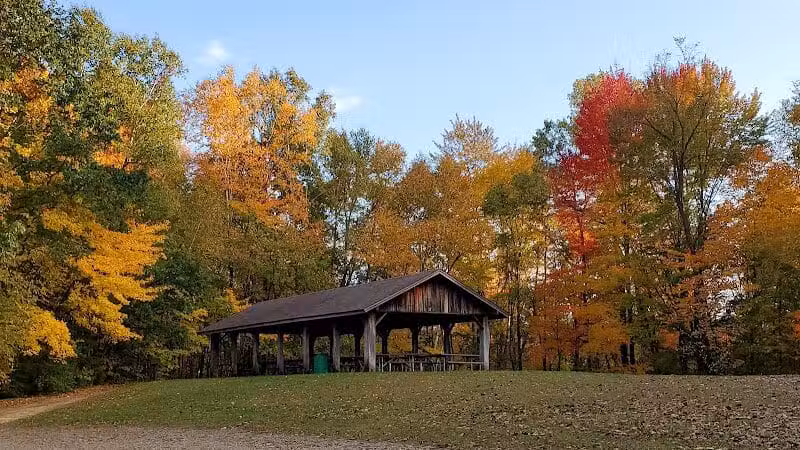 Buell Lake County Park - Clio, MI