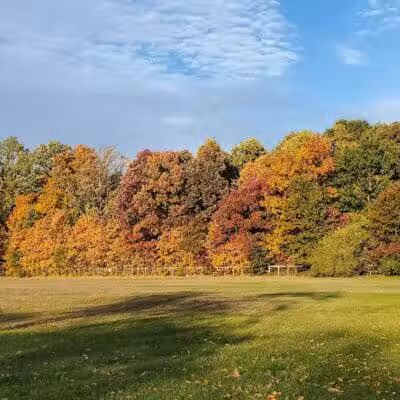Buell Lake County Park - Clio, MI