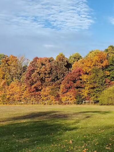 Buell Lake County Park - Clio, MI