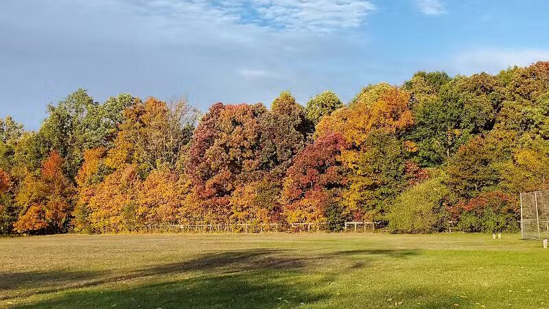 Buell Lake County Park - Clio, MI