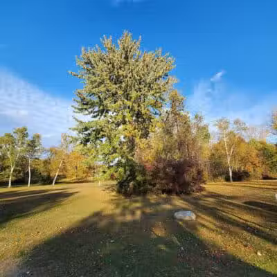 Buell Lake County Park - Clio, MI