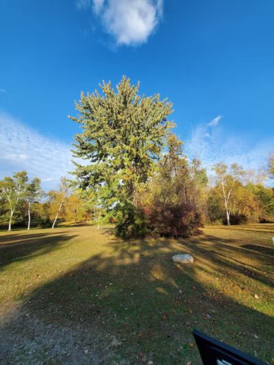 Buell Lake County Park - Clio, MI