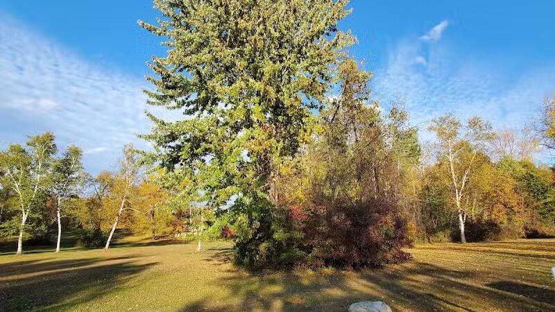 Buell Lake County Park - Clio, MI