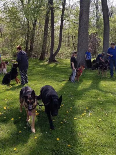 Clio Bike Trail Parking - Clio, MI