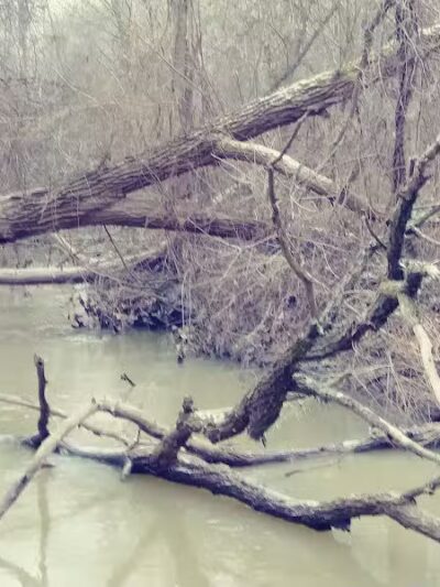 Clio Bike Trail Parking - Clio, MI