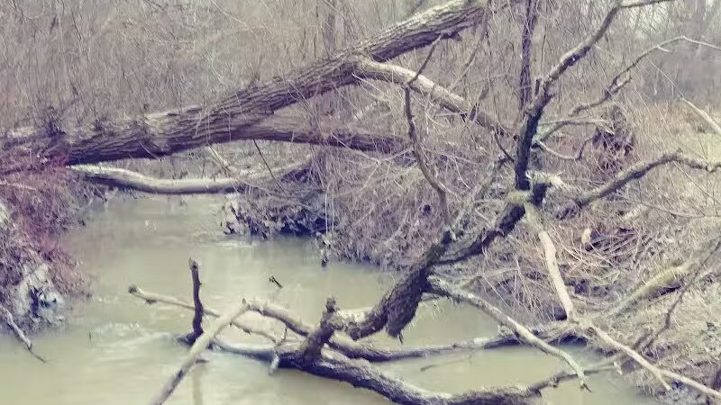 Clio Bike Trail Parking - Clio, MI