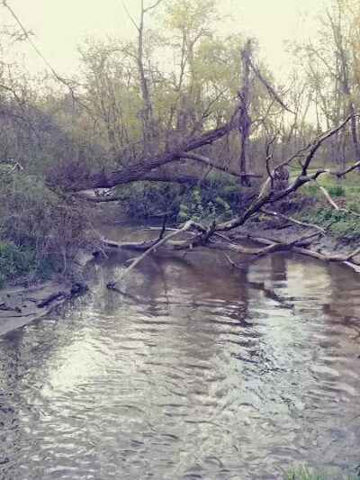 Clio Bike Trail Parking - Clio, MI