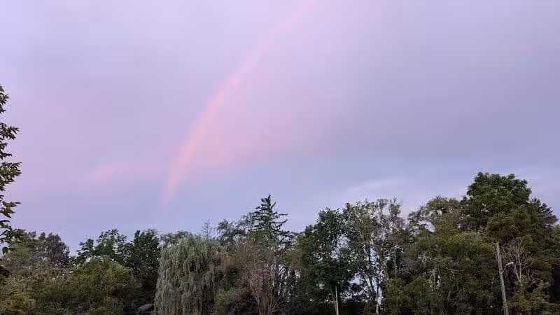 Clio City Park - Clio, MI