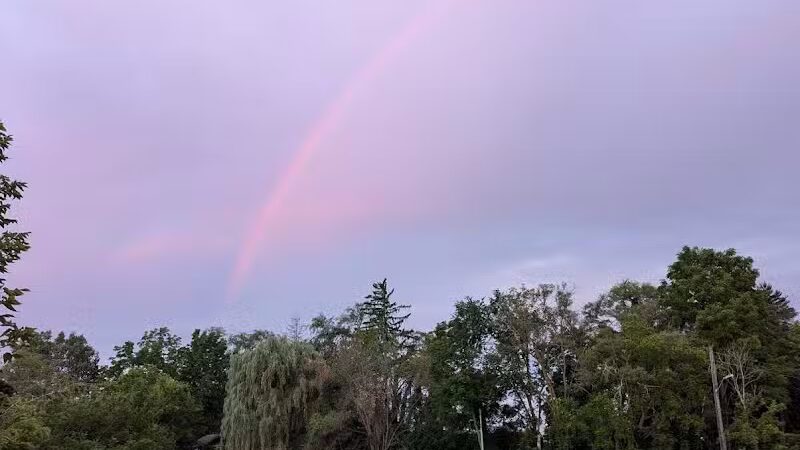 Clio City Park - Clio, MI