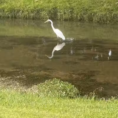 Clio City Park - Clio, MI