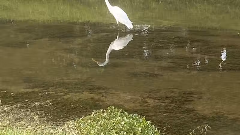 Clio City Park - Clio, MI