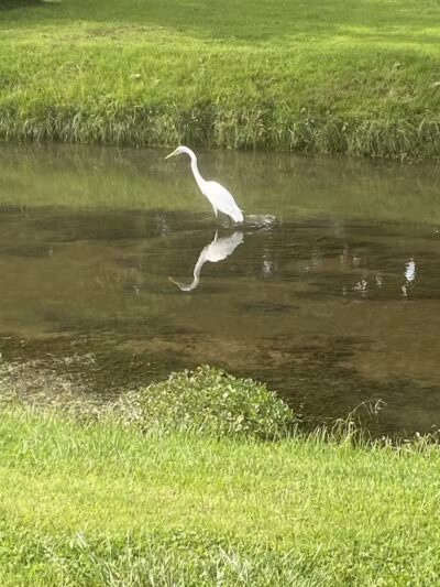 Clio City Park - Clio, MI