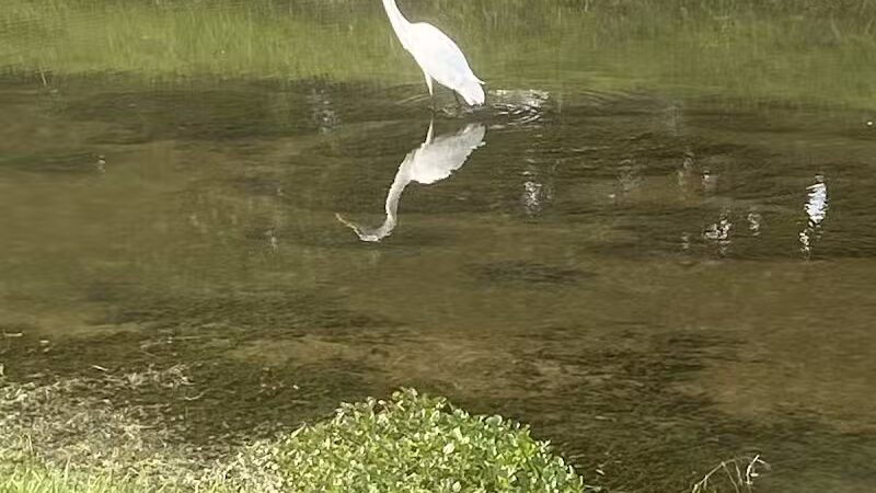 Clio City Park - Clio, MI