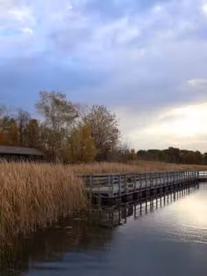 Buell Lake County Park - Clio, MI