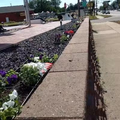 Veterans Memorial Park - Clio, MI