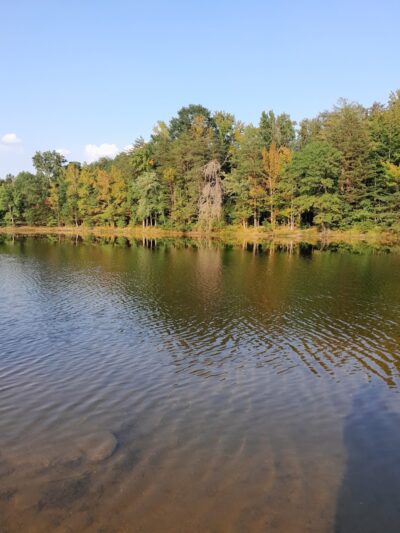 Clover Community Park - Clover, SC