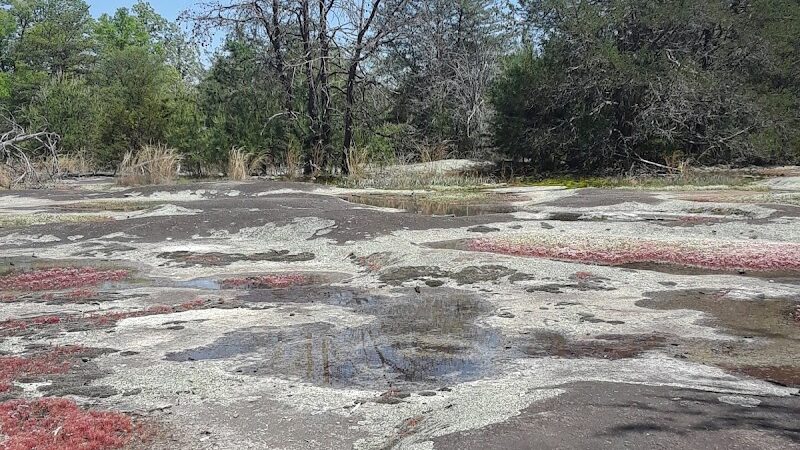 Clover Community Park - Clover, SC