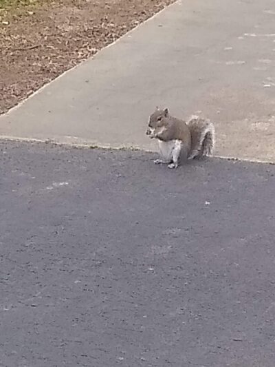 Clover Community Park - Clover, SC