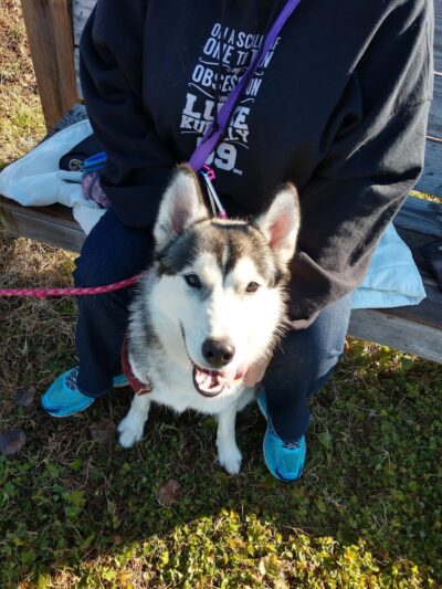 Clover Community Park - Clover, SC