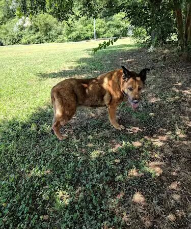 Clover Community Park - Clover, SC