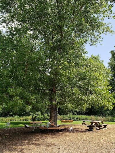 Colchester Dog Park - Colchester, CT