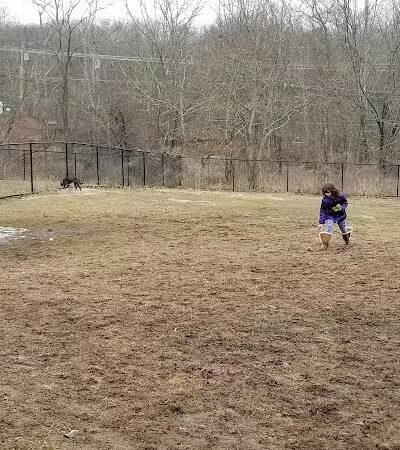 Colchester Dog Park - Colchester, CT