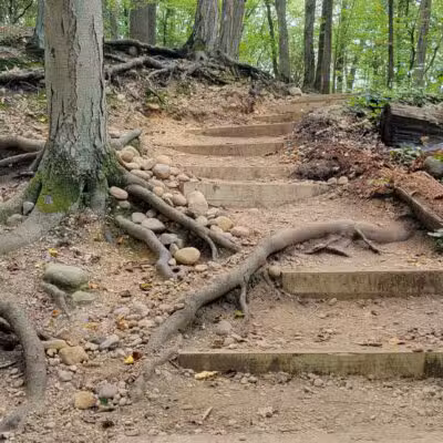 Cold Spring Harbor State Park - Cold Spring Harbor, NY