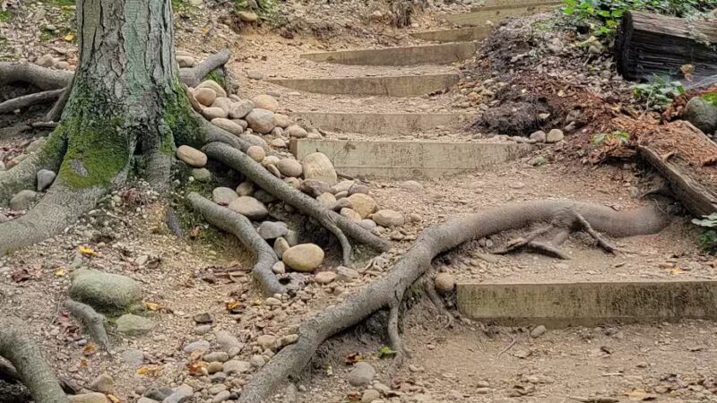 Cold Spring Harbor State Park - Cold Spring Harbor, NY