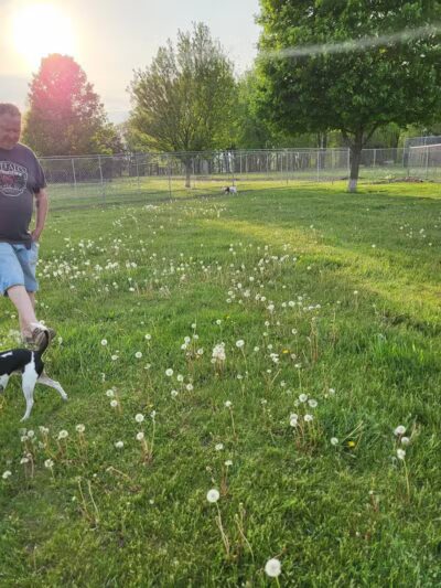 Coldwater dog park - Coldwater, MI