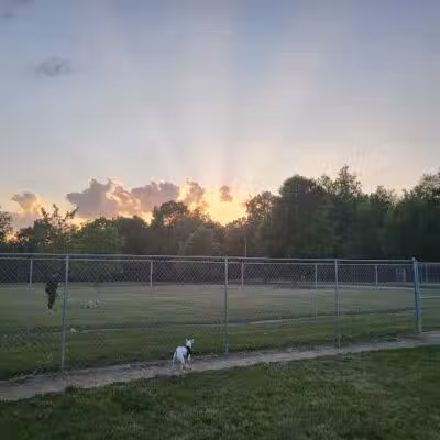 Coldwater dog park - Coldwater, MI