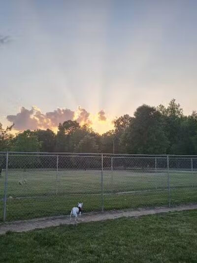 Coldwater dog park - Coldwater, MI