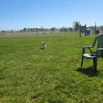 Coldwater dog park - Coldwater, MI