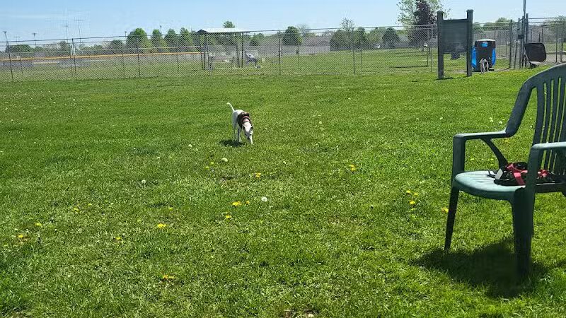 Coldwater dog park - Coldwater, MI