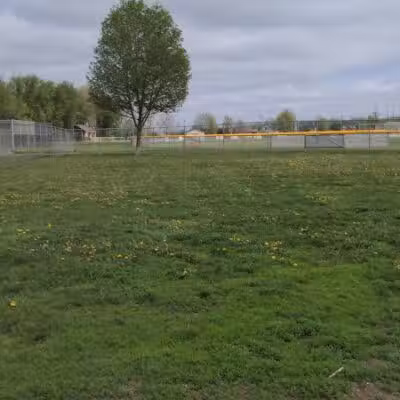 Coldwater dog park - Coldwater, MI