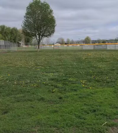 Coldwater dog park - Coldwater, MI