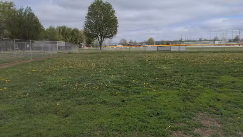 Coldwater dog park - Coldwater, MI