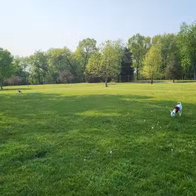 Coldwater dog park - Coldwater, MI