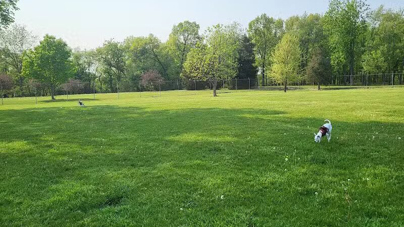 Coldwater dog park - Coldwater, MI