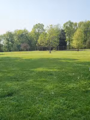 Coldwater dog park - Coldwater, MI