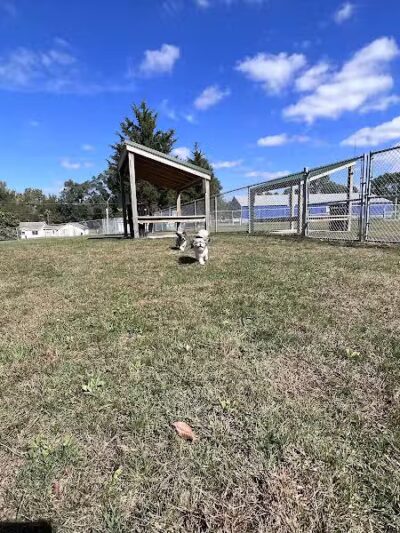 Public dog park - Coldwater,