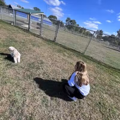Public dog park - Coldwater,