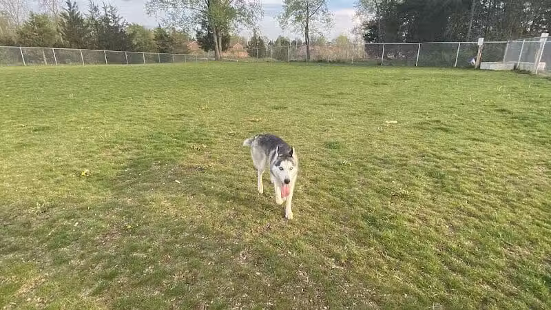 Public dog park - Coldwater,