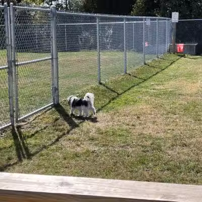 Public dog park - Coldwater,