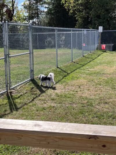 Public dog park - Coldwater,