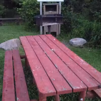 Salt River Park - Coleman, MI