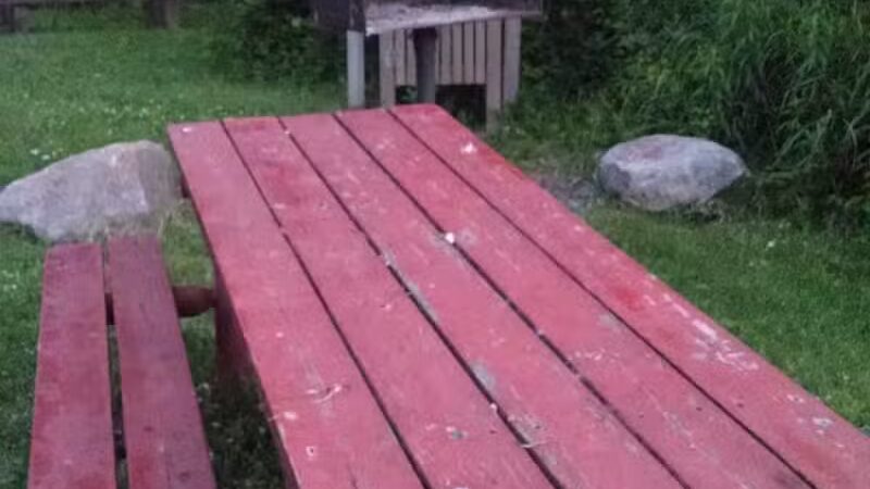 Salt River Park - Coleman, MI