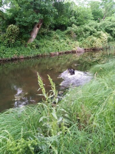 Coleman City Park - Coleman, TX