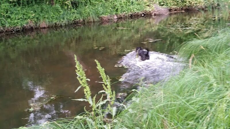 Coleman City Park - Coleman, TX