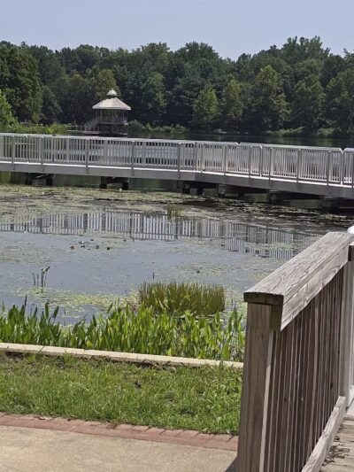 Lake Artemesia Natural Area - College Park, MD