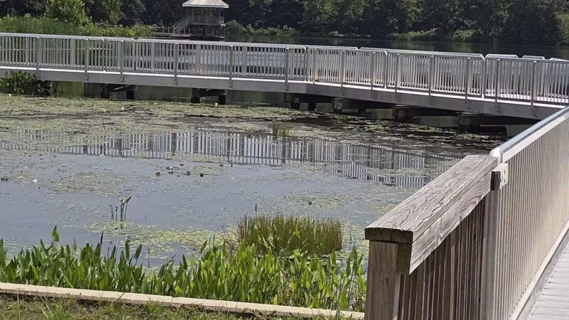 Lake Artemesia Natural Area - College Park, MD